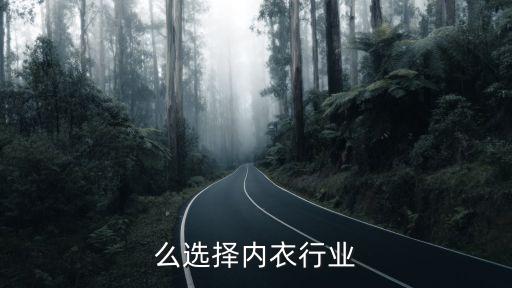 么选择内衣行业