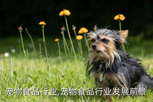 山东宠物食品行业,宠物食品行业发展前景