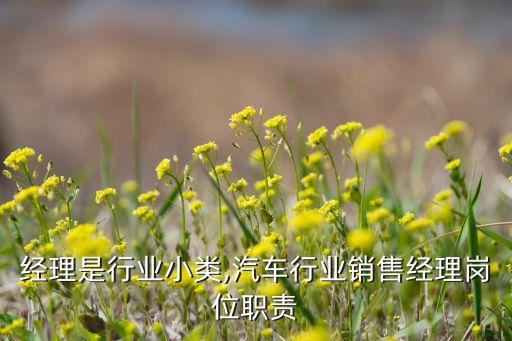 经理是行业小类,汽车行业销售经理岗位职责