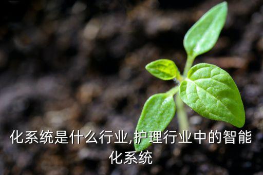 智能化系统是什么行业,护理行业中的智能化系统