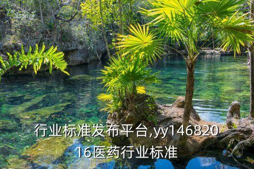 行业标准发布平台,yy14682016医药行业标准