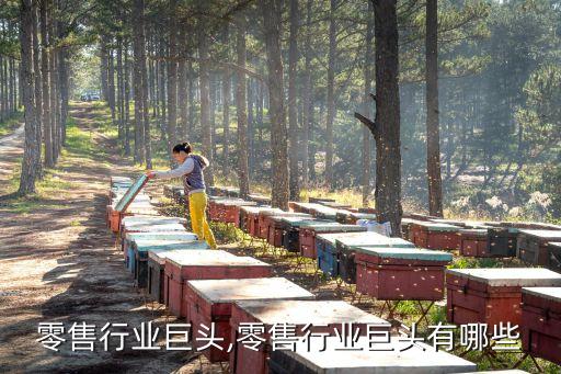 零售行业巨头,零售行业巨头有哪些