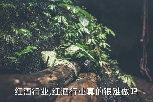 洛阳红酒行业,红酒行业真的很难做吗