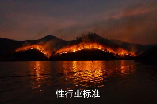 性行业标准