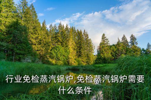 餐饮行业免检蒸汽锅炉,免检蒸汽锅炉需要什么条件