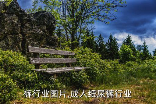 纸尿裤行业图片,成人纸尿裤行业