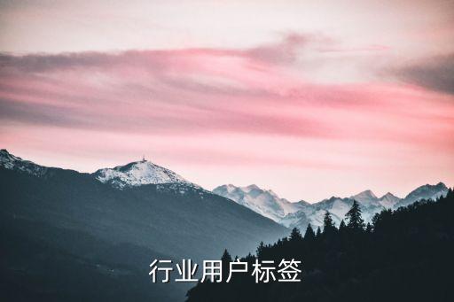 零售行业用户标签