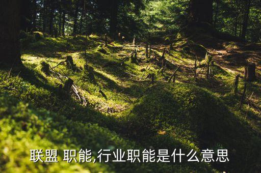 联盟 职能,行业职能是什么意思