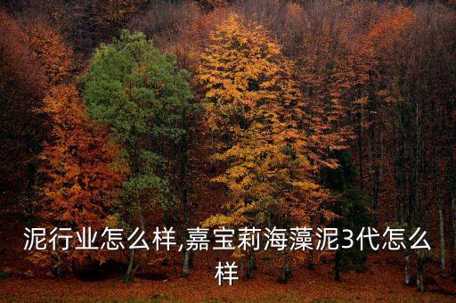 泥行业怎么样,嘉宝莉海藻泥3代怎么样