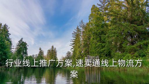 行业线上推广方案,速卖通线上物流方案