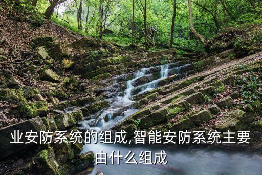 业安防系统的组成,智能安防系统主要由什么组成