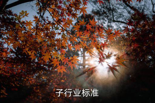 子行业标准