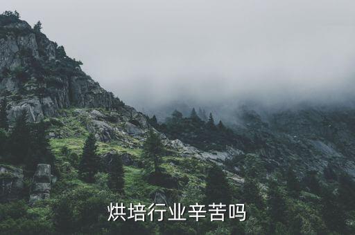 烘培行业辛苦吗