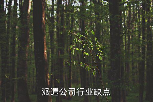劳务派遣公司行业缺点