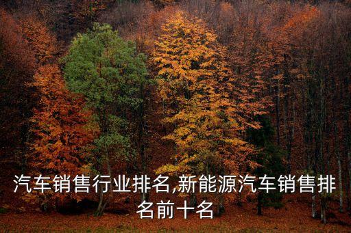 中国汽车销售行业排名,新能源汽车销售排名前十名