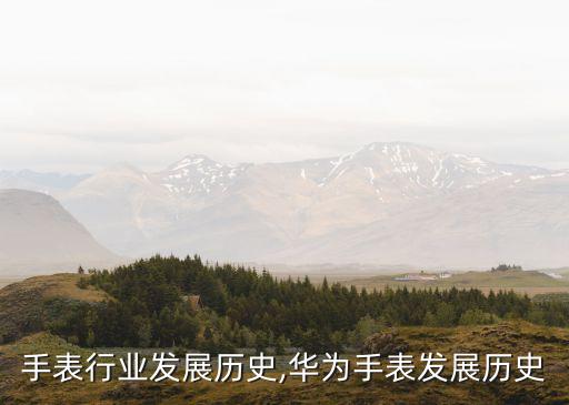 世界手表行业发展历史,华为手表发展历史