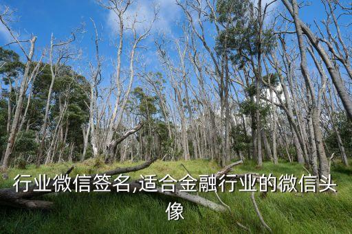 行业微信签名,适合金融行业的微信头像