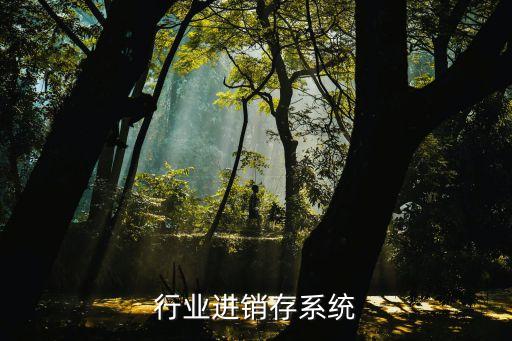 医疗行业进销存系统
