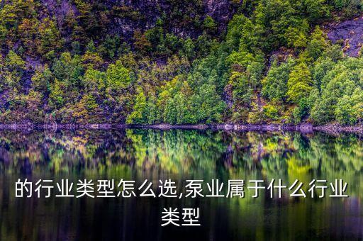 泵业的行业类型怎么选,泵业属于什么行业类型
