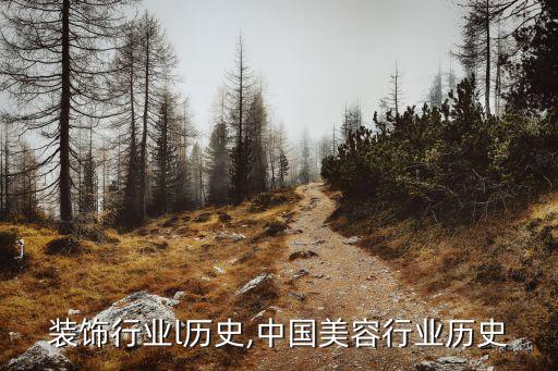 装饰行业l历史,中国美容行业历史