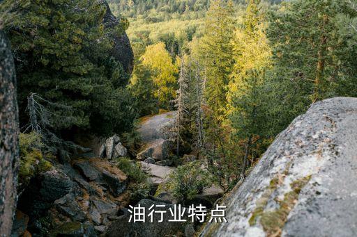 油行业特点