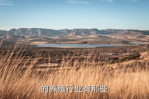 的养殖行业有那些