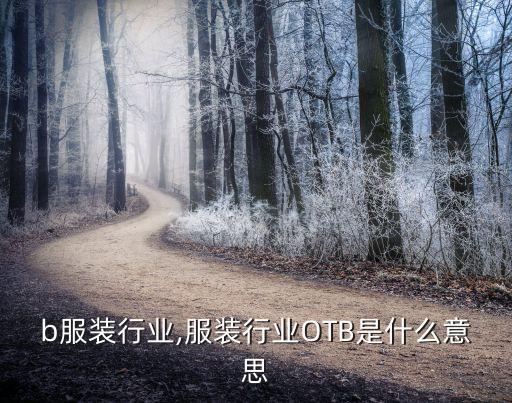otb服装行业,服装行业OTB是什么意思