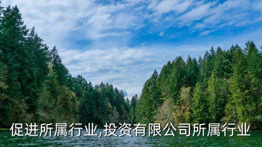 促进所属行业,投资有限公司所属行业