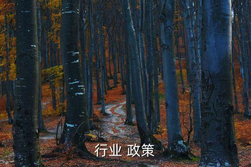 行业 政策
