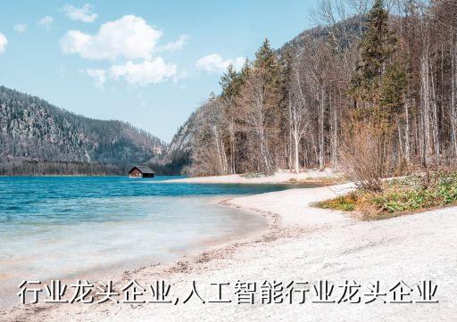 行业龙头企业,人工智能行业龙头企业