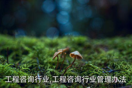 工程咨询行业,工程咨询行业管理办法