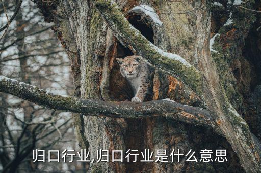 归口行业,归口行业是什么意思