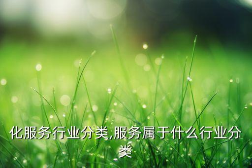 自动化服务行业分类,服务属于什么行业分类