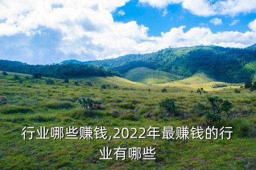 cg行业哪些赚钱,2022年最赚钱的行业有哪些