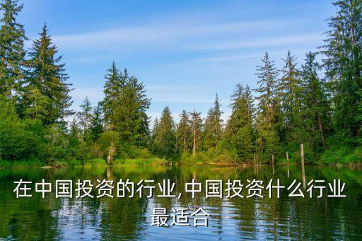在中国投资的行业,中国投资什么行业最适合