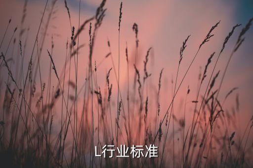 L行业标准