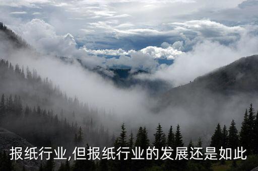 报纸行业,但报纸行业的发展还是如此