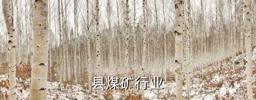 县煤矿行业