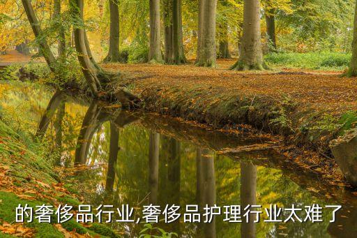 的奢侈品行业,奢侈品护理行业太难了