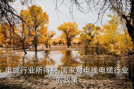 电线电缆行业所得税,国家对电线电缆行业的政策