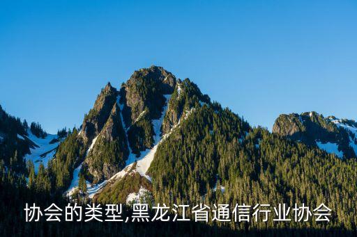 行业协会的类型,黑龙江省通信行业协会