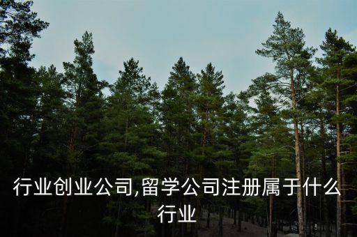 留学行业创业公司,留学公司注册属于什么行业