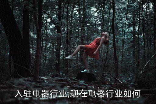 如何入驻电器行业,现在电器行业如何