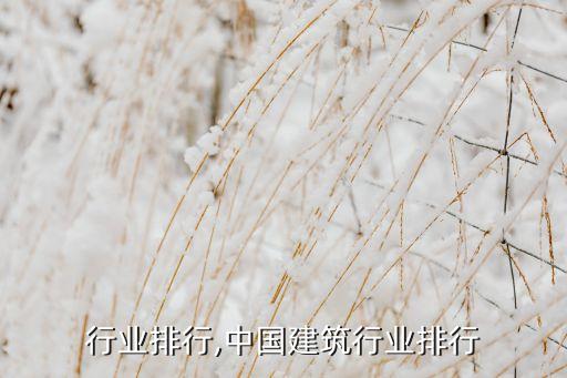 行业排行,中国建筑行业排行