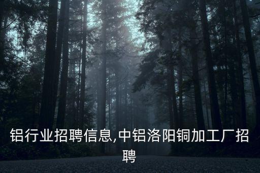 铝行业招聘信息,中铝洛阳铜加工厂招聘