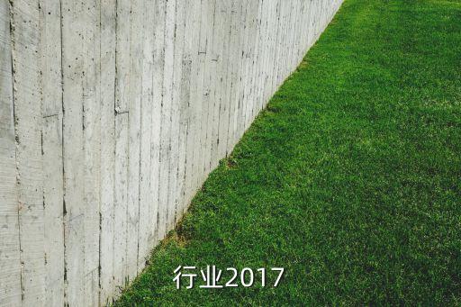 行业2017