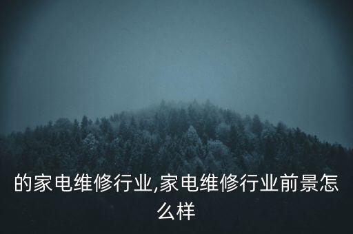美国的家电维修行业,家电维修行业前景怎么样