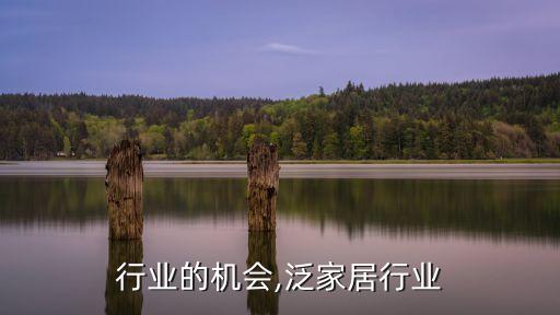 行业的机会,泛家居行业