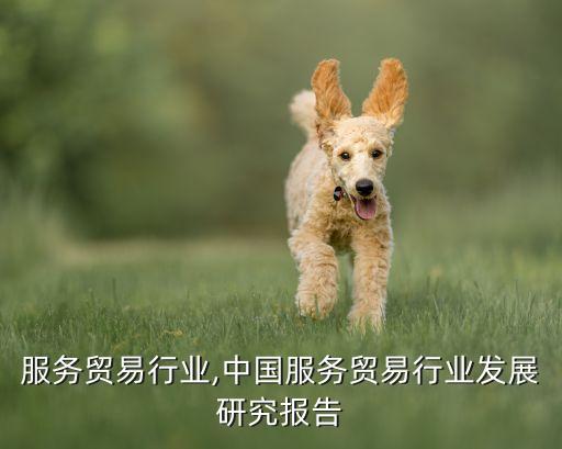 重庆服务贸易行业,中国服务贸易行业发展研究报告