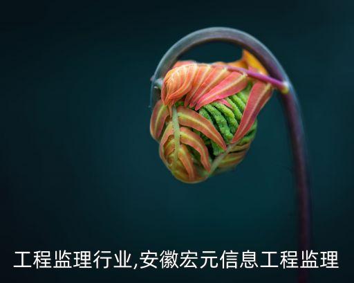 工程监理行业,安徽宏元信息工程监理